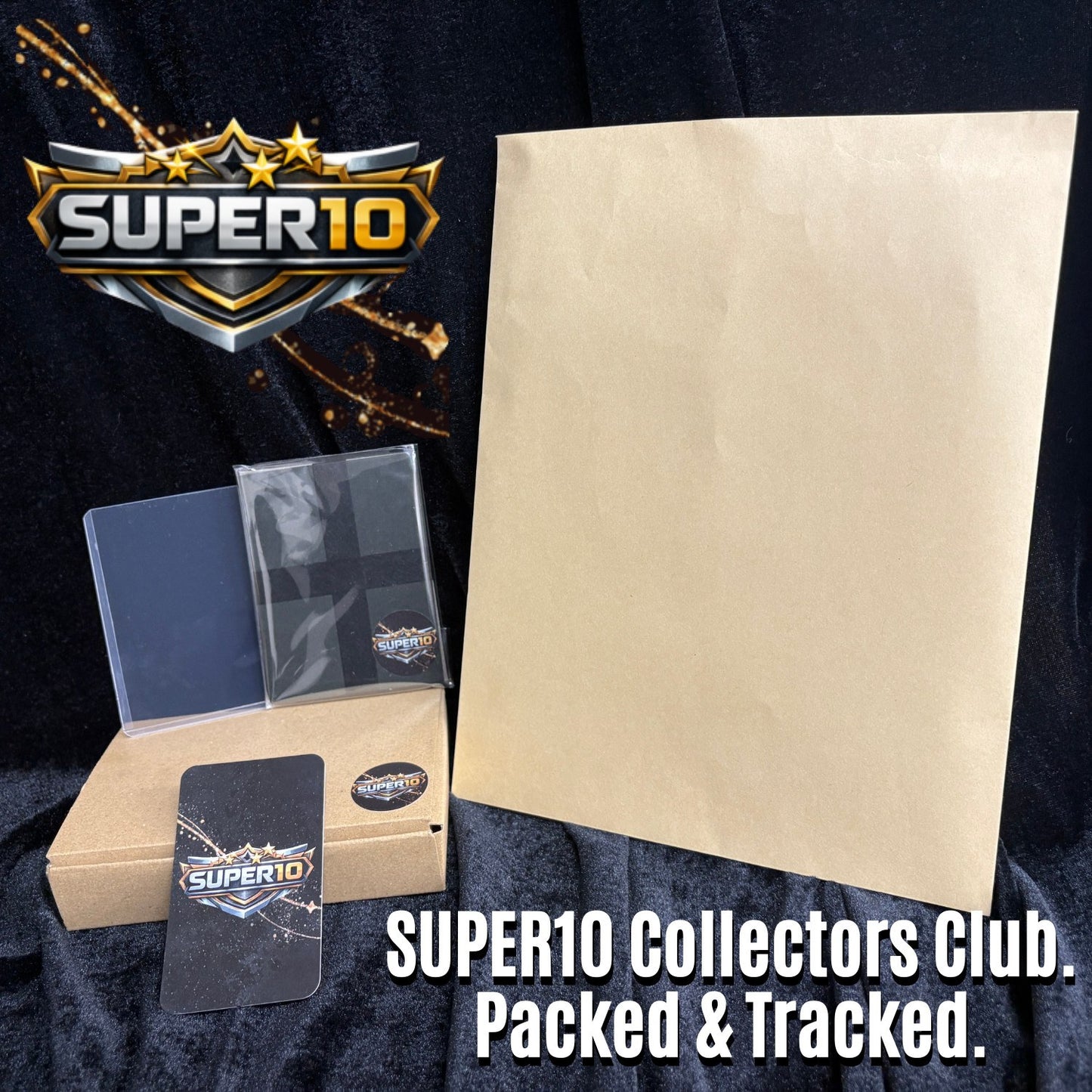 PSA 10 Garchomp V CSR 084/067 S9a Battle Region Pokemon Card Japanese 2022