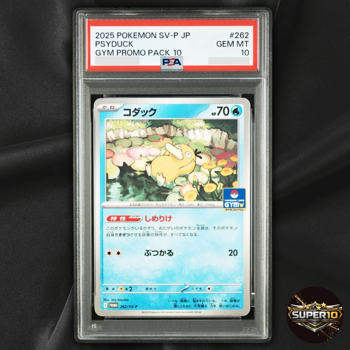 PSA 10 Psyduck 262/SV-P Gym Promo Pokemon Card Japanese